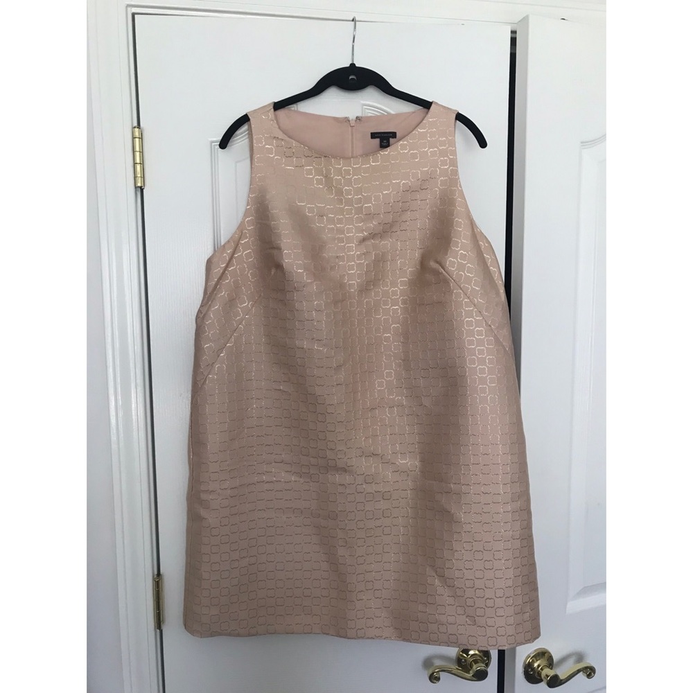 NEW Ann Taylor Dress